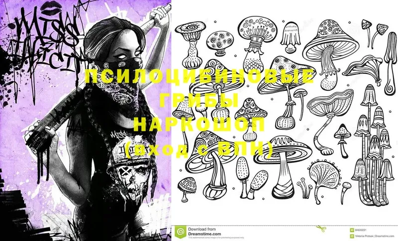 наркотики  МЕГА ссылки  Галлюциногенные грибы Psilocybine cubensis  Бородино 