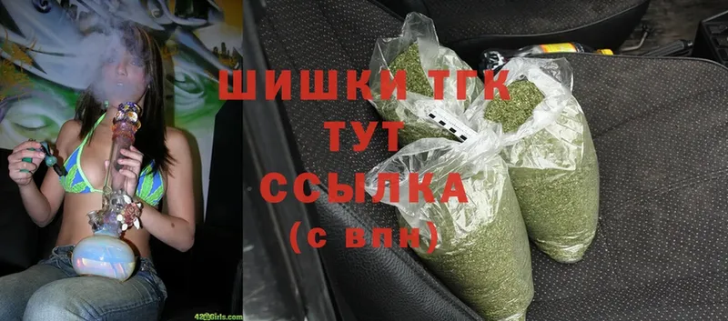 Каннабис SATIVA & INDICA  Бородино 